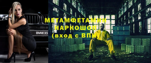 молекула духа Кулебаки