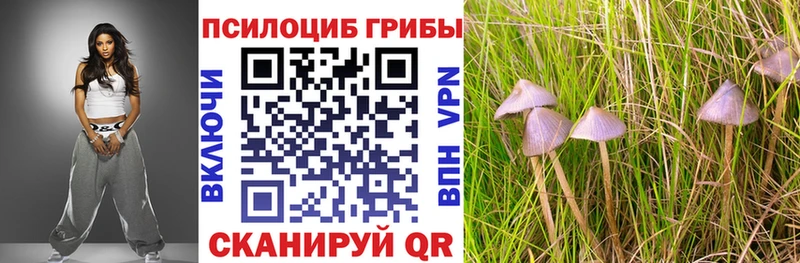 цены мега как войти Галлюциногенные грибы MAGIC MUSHROOMS Новошахтинск